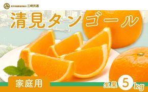 【先行予約】【家庭用】清見タンゴール 5kg ※離島への配送不可（2027年3月上旬～4月上旬頃より順次発送予定） IKTBD017