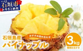 【2026年4月下旬から順次発送】石垣島産パイナップル 2～6個 約3kg【ふるさと納税 パイナップル 産地直送 フルーツ 果物 沖縄県石垣市 石垣 沖縄 石垣市 石垣島】 KP-14