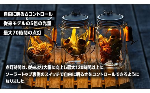 sonnenglas mini 38explore toreotto38 38kenkyujo8 ソネングラス ソーラーランタン ランタン ドライフラワー ギフト プレゼント 母の日 [EK022us]