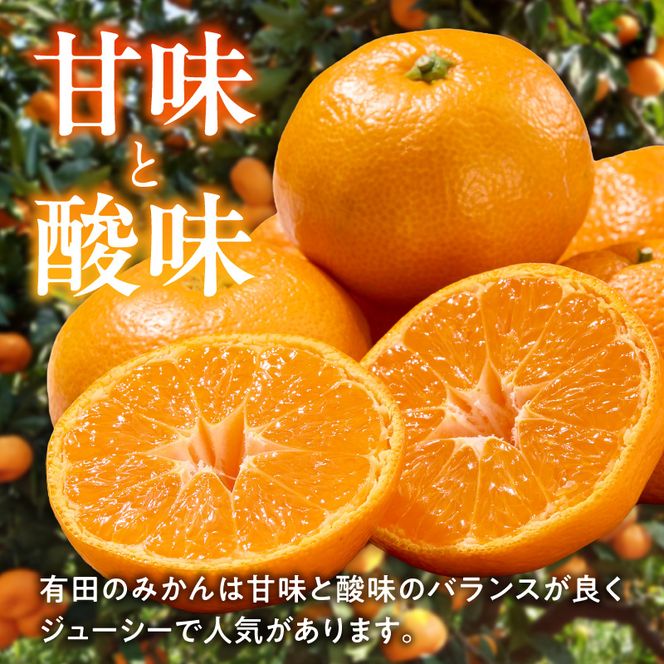 【3回定期便】【2026年先行予約】【ご家庭用】旨味凝縮有田みかん 約5kg（SS・Sサイズ）【湯浅町】_AT60-T01