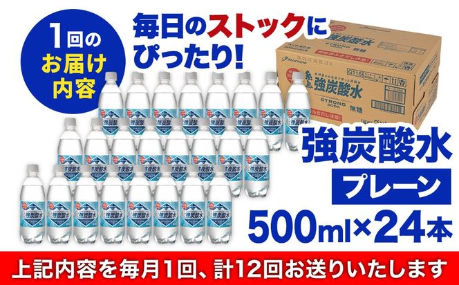 【全12回定期便】強炭酸水 プレーン 500ml × 24本 糸島市 / スターナイン 炭酸水 国産 [ARM011] 炭酸水 500ml 24本 送料無料 プレーン 国産 炭酸 常温