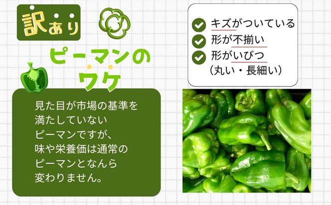 農家さん応援！ 【訳あり】 ピーマン 1kg ～ 3kg 農家直送 野菜 新鮮 BBQ 焼肉 国産 おすすめ 送料無料 緊急支援品 生活応援 コロナ支援 福島県 田村市 新田ファーム