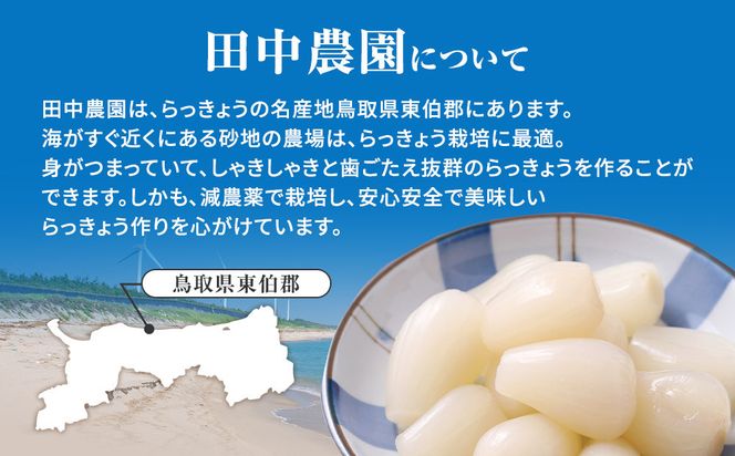 325.【特別栽培】生ラッキョウ　計4kg（ラクダラッキョウ×2kg　玉ラッキョウ×2kg）　※2026年5月下旬～7月上旬頃に順次発送予定 313726_AP001
