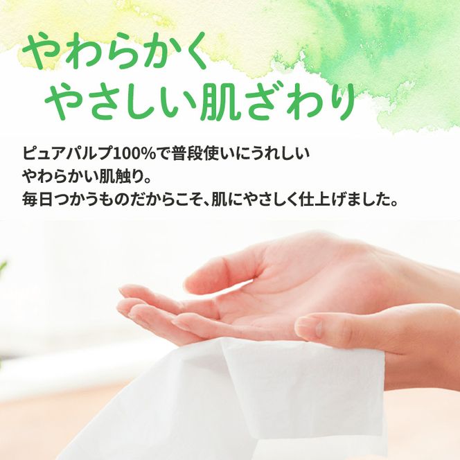 エリエール 箱ティッシュ 150組 5箱×12パック 計60箱  i:na イーナ ティッシュペーパー 最短 10日以内 最短配送 ボックスティシュー まとめ買い ペーパー 紙 防災 常備品 備蓄品 消耗品 備蓄 日用品 生活必需品 北海道 赤平市 