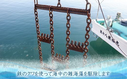 【CF】雑海藻から海を守り、日本の食文化である昆布の漁場の再生支援寄附 ＜１口 10,000円 より＞