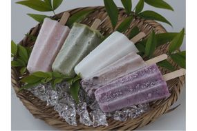 アイスキャンデーバラエティセット （6種類）　ふるさと納税 アイス デザート アイスクリーム セット バラエティセット 冷たいデザート 冷凍 アイスキャンデー セット　IZ00001