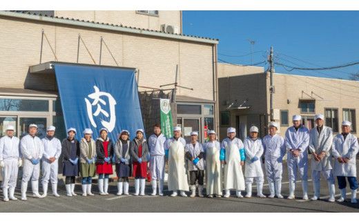 《 定期便 11月スタート 》 厳選 『 常陸牛 』 6ヶ月セット ( 茨城県共通返礼品 ) 肉 焼肉 国産 霜降 サーロイン もも ハンバーグ ステーキ すき焼き しゃぶしゃぶ [BM031us]