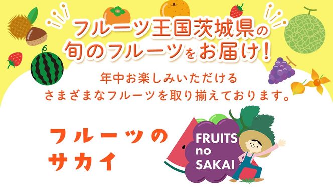 ＼選べる 内容量・発送方法／白いちご 約200g（15～18粒）2パック または 4パック 単品・定期便 3か月【2027年1月から発送開始】（茨城県共通返礼品 [いちご]：城里町産） 茨城県 県産 人気 厳選 果物 くだもの 旬 旬の果物 旬のフルーツ フルーツ ギフト 贈答 いちご イチゴ 苺 白いちご