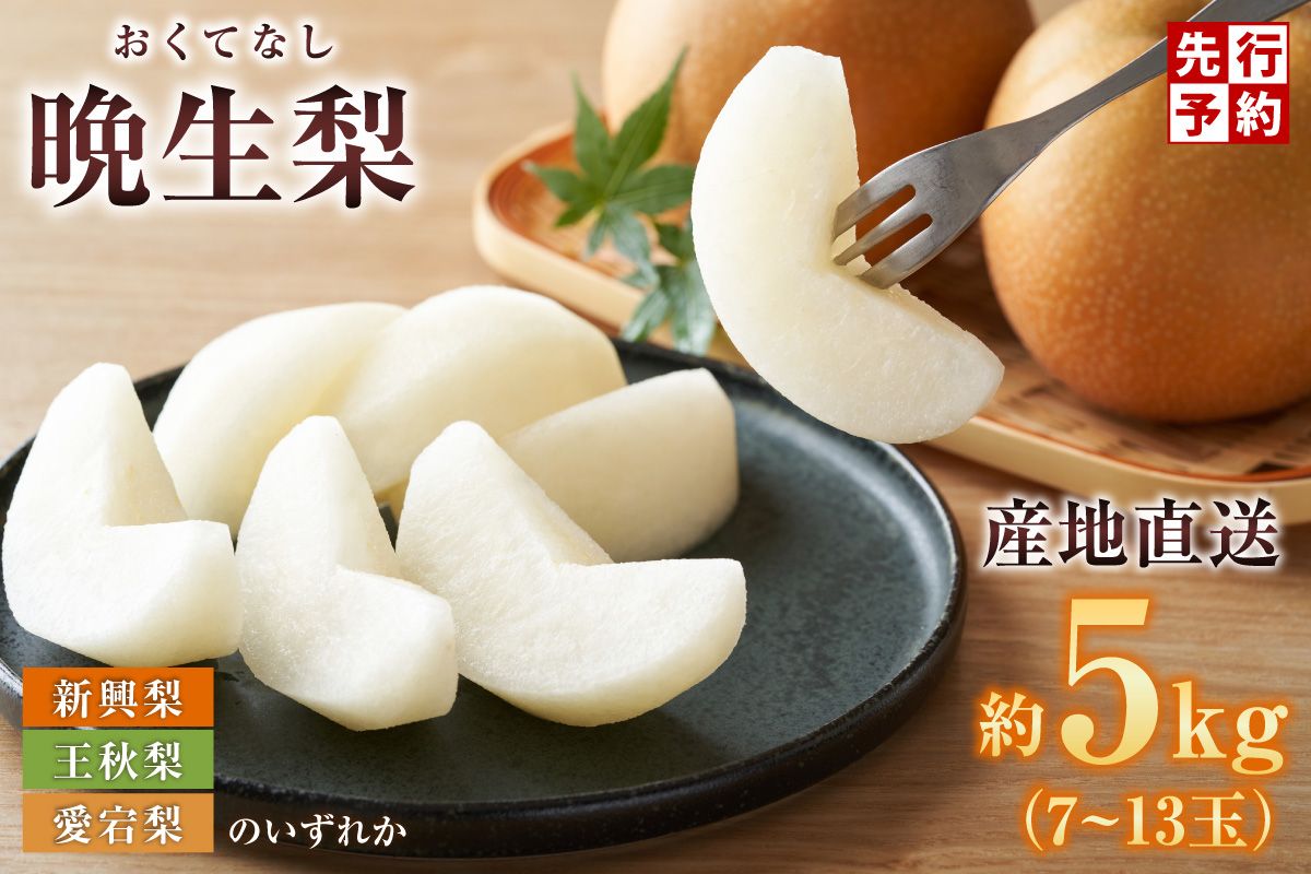 [2026年産 先行予約][晩生梨 品種 (新興梨 王秋梨 愛宕梨のいずれか)5kg(7〜13玉)][令和8年10月中旬以降発送予定] 晩生品種 新興・王秋・愛宕 梨 なし ナシ 和梨 フルーツ 大人気 人気 甘い みずみずしい 果実 果物 新鮮 旬の果物 おすすめ ランキング 国産 香住 贈り物 贈答 ギフト 秋 冬 兵庫県 香美町 香住 JAたじま 16000円 12-24