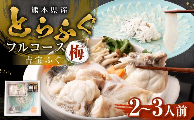 とらふぐフルコース【梅】吉宝ふぐ （30cmプラ皿盛り・2～3人前） 『焼きひれ/特製ポン酢/もみじおろし付き』 ふぐ 河豚 フグ とらふぐ トラフグ 刺身 皮刺し ひれ酒 熊本県 上天草市