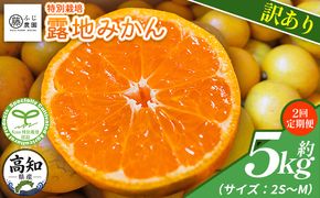 【2回定期便】ふじ農園の露地みかん 訳あり品 5kg(2S～M) 国産 小玉 蜜柑 ミカン 柑橘 果物 フルーツ 訳アリ ご家庭用 自宅用 ふじ農園 高知県 香南市 Wfn-0021