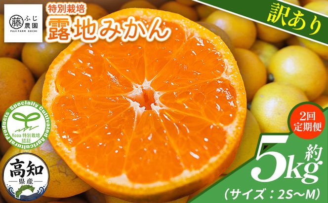 【2回定期便】ふじ農園の露地みかん 訳あり品 5kg(2S～M) 国産 小玉 蜜柑 ミカン 柑橘 果物 フルーツ 訳アリ ご家庭用 自宅用 ふじ農園 高知県 香南市 Wfn-0021