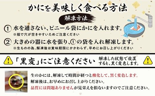  時期が選べる 絶品 生ずわいがに 足むき身 500g かにしゃぶ 【 本ズワイガニ 生の状態で冷凍 ポーション 15～25本 甘みが強い しゃぶしゃぶ 定期便 3回 お届け 不揃い ギフト 2026】
