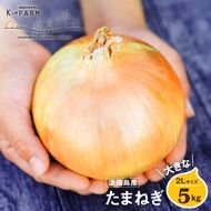 淡路島玉ねぎ 大きな2Lサイズ 5kg　玉ねぎ