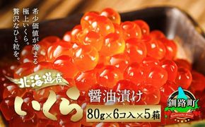北海道産 いくら醤油漬け80g×6コ入り×5箱 小分け 【配送日時指定可能】 国産 しょう油 イクラ ikura 鮭 鮭卵 鮭いくら 魚卵 冷凍 配送月指定 配送月を選べる 配送時期 発送月が選べる 発送月 スピード発送 すぐ届く 魚介類 海鮮 絶品 人気 笹谷商店 せんのすけ すぐ発送  北海道 釧路町 釧路超 特産品 br01