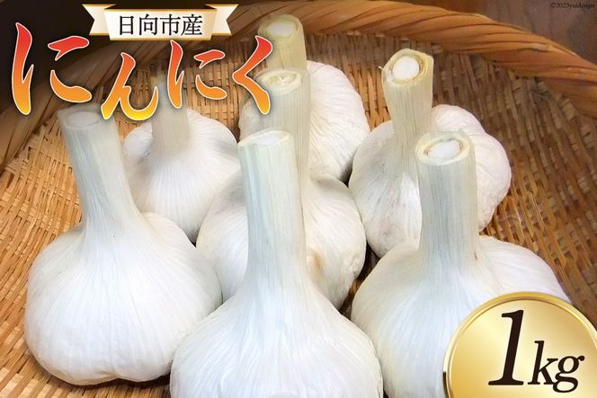 【期間限定発送】 にんにく 国産 1kg [甲斐自然派農園 宮崎県 日向市 452060131] ふるさと納税 ニンニク 1キロ 栽培期間中 無農薬 農薬不使用 化学肥料不使用 日向市産
