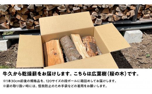 牛久市産 乾燥 薪 桜 ( さくら ) 約14kg～16kg 天然木 マキ 乾燥薪 広葉樹 キャンプ アウトドア 焚火 焚き火 薪ストーブ 暖炉 たき火 野外 屋外 バーベキュー薪 ピザ窯の薪 グリル焼 [DP010us]