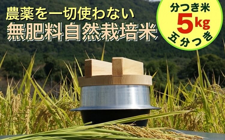 米 令和6年産[五分つき]自然栽培米 にこまる [農薬を一切使わない無肥料栽培] 分つき米5kg・精米したて [新米 京都丹波産 無農薬米栽培向き 厳選品種] ※2024年10月中旬頃より順次発送予定