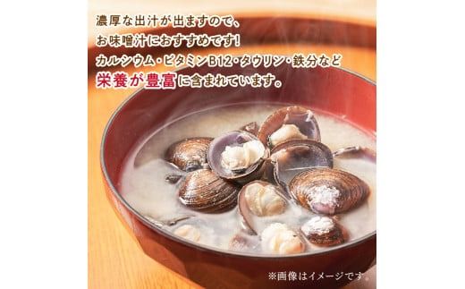 《14営業日以内に発送》北海道産 冷凍しじみ 500g×3袋 ( 魚介類 貝類 しじみ シジミ 1.5キロ 冷凍 カルシウム ビタミンB12 タウリン 鉄分 味噌汁 )【114-0008】