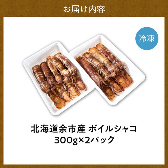 獲れたての味！北海道余市産 ボイルシャコ 300g×2パック 計600g 冷凍 国産 蝦蛄 殻付き 解凍後そのまま 刺身 寿司 天ぷら 鍋 わさび醤油 プリプリ食感 高タンパク DHA EPA 送料無料_Y022-0022