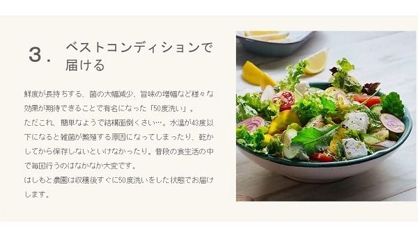 【12-31】伊勢ノ国のがぶっと野菜玉手箱　：　月1回定期便（大人4人1週間分）12回