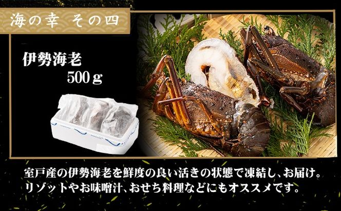 福袋 室戸の海の幸バラエティセット 5種詰め合わせ 33,000円コース 海鮮 福袋 まぐろ マグロ 中トロ かつお かつおたたき カツオ 伊勢海老 ねぎとろ ネギトロ 詰め合わせ セット