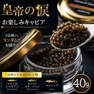 【お試しキャビア】皇帝の涙 40g 3品種からランダムで2種（オシェトラ・ホワイトスタージョン）国産 チョウザメ キャビア