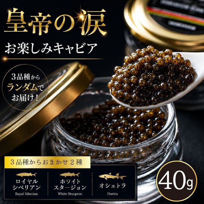 【お試しキャビア】皇帝の涙 40g 3品種からランダムで2種（オシェトラ・ホワイトスタージョン）国産 チョウザメ キャビア