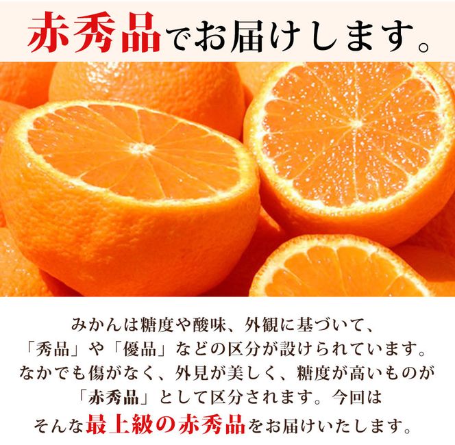 G7042_【2026年11月下旬より発送】紀州 有田産 濃厚甘熟 温州みかん 3kg 赤秀品【ミカン 蜜柑 柑橘 温州みかん 有田みかん 和歌山】