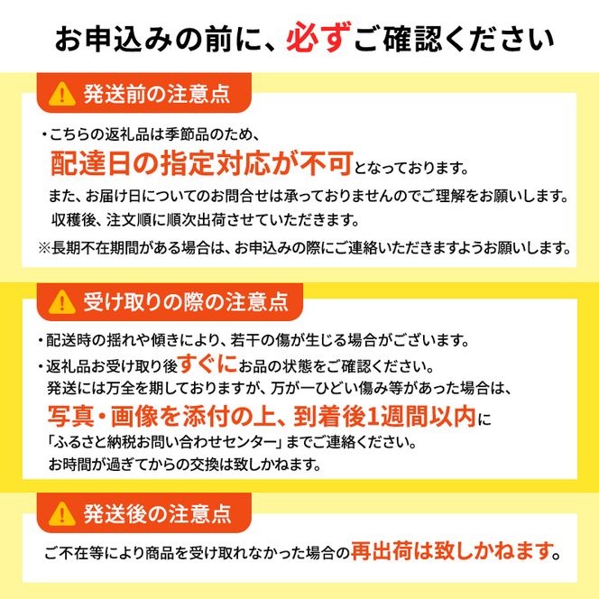【平均糖度13度以上】4月～5月 クール便発送 家庭用 訳あり CA貯蔵 シナノゴールド 約 3kg りんご リンゴ 林檎 果物 フルーツ わけあり 青森