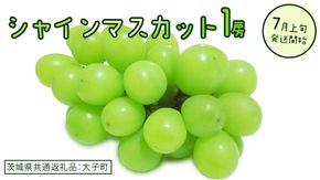 シャインマスカット １房(茨城県共通返礼品：大子町)　ぶどう 葡萄 ブドウ マスカット フルーツ 果物 スイーツ