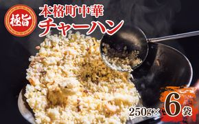 G2745 【スピード発送】極旨 チャーハン 250g×6袋 本格町中華 冷凍炒飯 小分け 簡単調理 6人前