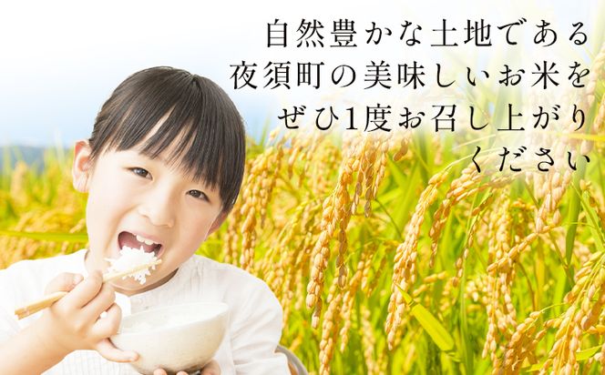 コシヒカリ 計１０kg ga-0007