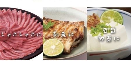 徳島県佐那河内村産 冷蔵すだち 約1kg【10月上旬～12月下旬出荷予定】【配送不可地域あり】※離島---sanagouchi_hss_5_1kg---