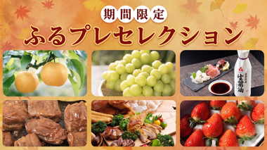 【期間限定】ふるプレセレクション～オリジナル限定返礼品特集