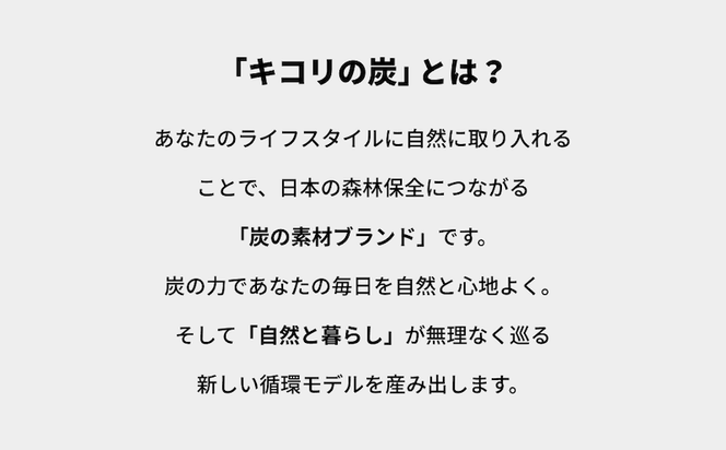 【炭義】 食べる炭「食用粉炭」5g【キコリの炭】 選べる 1個入り 3個入り 超微粉 山梨県 都留市 KH001 KH002