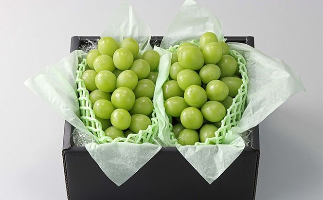 ぶどう 2026年 先行予約 【平均糖度20度】 農家こだわりの シャイン マスカット 2房 合計約1.0kg 贈答クラス ブドウ 葡萄 岡山県産 国産 フルーツ 果物 ギフト 【 Nini farm 農家 直送 】 