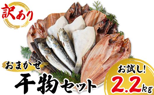 【2026年4月下旬発送】 訳あり 干物 詰め合わせセット 2.2kg 真ホッケ 縞ホッケ サバ イワシ