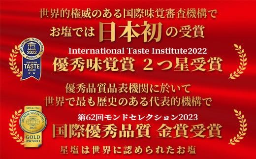 【モンドセレクション金賞】南十字星の星塩 100g 【 石垣島 塩 料理 海塩 食塩 天日 海水 天然 】NY-3