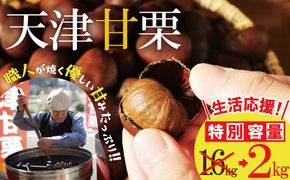 【特別容量 1.6kg⇒2kg】 （ 生活応援 ） この道50年の職人が焼く、やさしい甘みたっっっぷり！「天津甘栗」 2kg 焼きたて 栗 くり 栗爪 殻付き お菓子 おつまみ 人気 高リピート 小分け 栗ご飯 栗きんとん 甘露煮 選べる 発送月 感謝を込めて 碧南市 H045-107