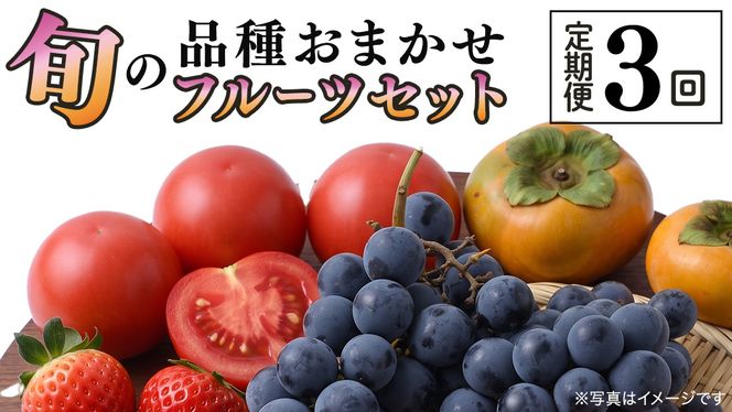 品種おまかせ 旬 の フルーツセット 定期便 3回 ( 茨城県共通返礼品：大子町 ) 詰め合わせ フルーツ 旬 定期 3回 食べ比べ ご褒美 贈り物 ご家庭用 農家直送 産地直送 [FC211us]