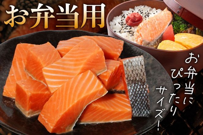 訳あり 無添加 サーモン 【お弁当用】 切身 骨取り 無塩 1.5kg バラ入れ 大袋 [足利本店 宮城県 気仙沼市 20565153] 魚 魚介類 サーモン 冷凍 鮭 海鮮 魚介 規格外 不揃い さけ サケ 鮭切身 シャケ 切り身 サーモン切り身 訳アリ わけあり 簡易包装 家庭用 冷凍
