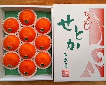 化粧箱 柑橘の大トロ ハウス せとか 厳選 10玉入   BS116