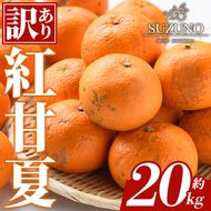 ＜先行予約受付中！2027年1月中旬以降順次発送予定＞訳あり 紅甘夏 (約20kg) 国産 鹿児島県 阿久根市 果実 果物 フルーツ 柑橘 紅甘夏 みかん ミカン 期間限定 数量限定 【SUZUNO】akn109-05