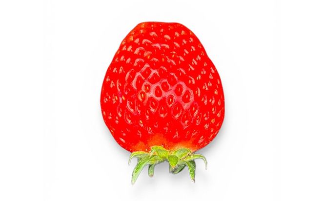 【先行予約】MIYAFARM いちご（品種：よつぼし）12粒入り×2パック 合計 24粒 ※北海道・沖縄・離島への配送不可 ※2027年1月中旬～5月下旬頃に順次発送予定