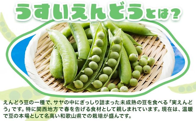 うすいえんどう 約2kg 湯川農園《2027年1月末-5月上旬頃出荷》和歌山県 日高川町 旬 新鮮 豆うすい グリーンピース 和歌山特産 豆ごはん 送料無料 ほくほく 甘い---wshg_ykw1_1m5j_25_15000_2kg---