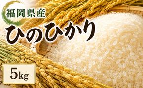 米 ひのひかり 5kg 筑前あさくら農協 お米 ヒノヒカリ