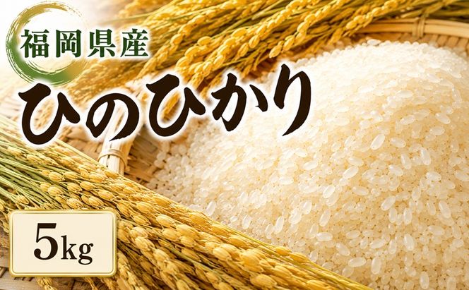 米 ひのひかり 5kg 筑前あさくら農協 お米 ヒノヒカリ