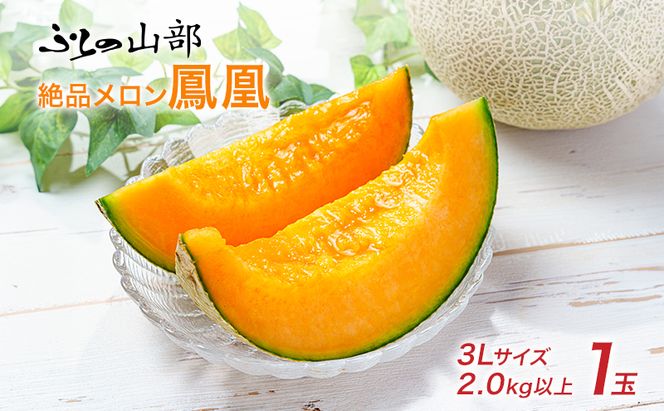 ふらの山部 鳳凰ブランド 夏のフルーツ定期便[メロン・スイカ]各1玉 北海道 富良野産 すいか 西瓜 メロン 夏 フルーツ 果物 くだもの 青果