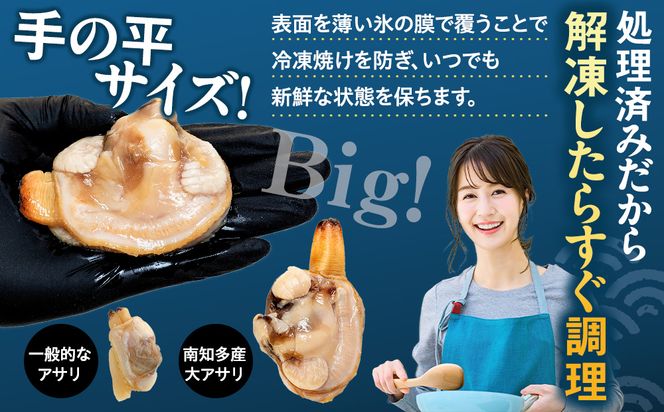 【限定寄附額】 大アサリ 半割 約2kg おおあさり